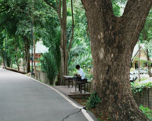 A serene outdoor environment where people enjoy active rest and a slow lifestyle pace